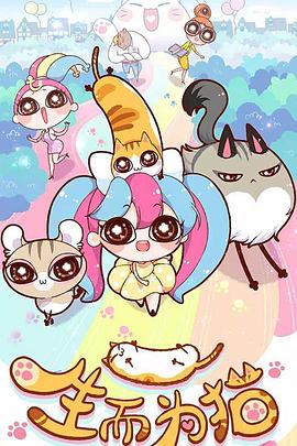 宁波专业seo站外优化